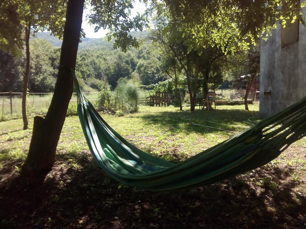 Apartament Ca La Iaia Veva Sant Joan les Fonts Zewnętrze zdjęcie